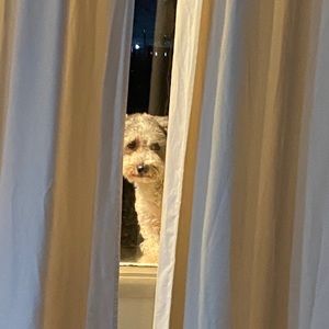 Meet your Posher, Paola